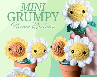 Mini Grumpy Flower Buddies