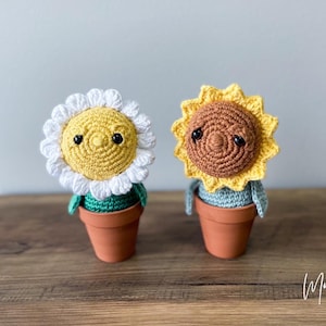 Grumpy Sunflower and Daisy Crochet Pattern