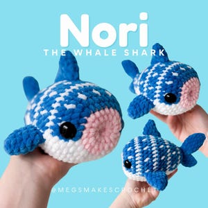 Nori the Whale Shark