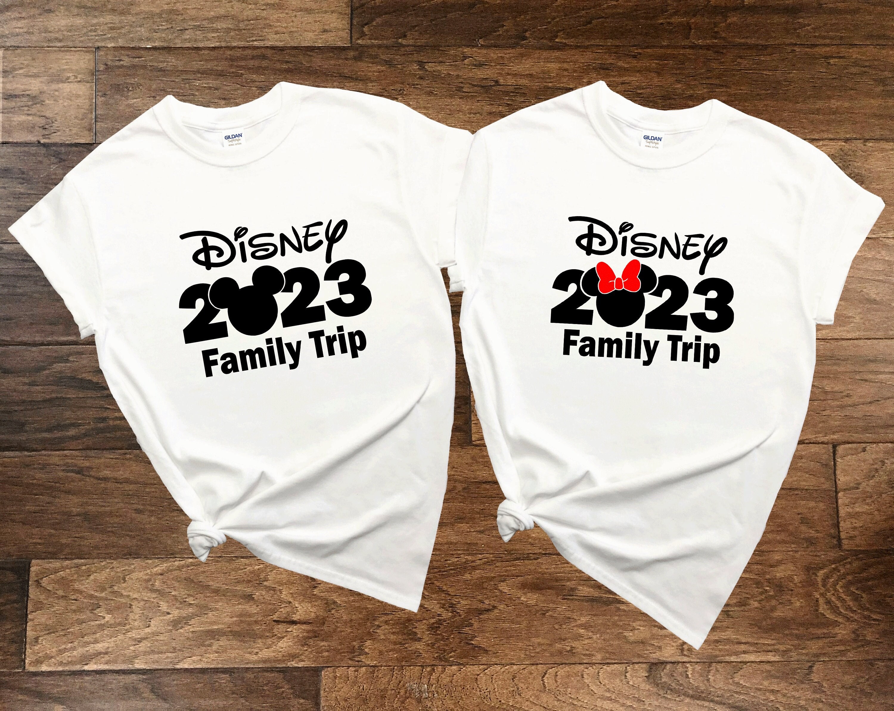 Discover Disney 2023 Family Trip Shirt, Family Matching Vacation Shirt, Disney Vacation T-shirt