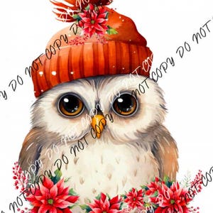 May include: A watercolor painting of an owl wearing a red and orange knit hat with a white pom pom. The owl is surrounded by red poinsettia flowers.