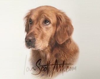 Pet portraits, hand drawn, perfect in pencil