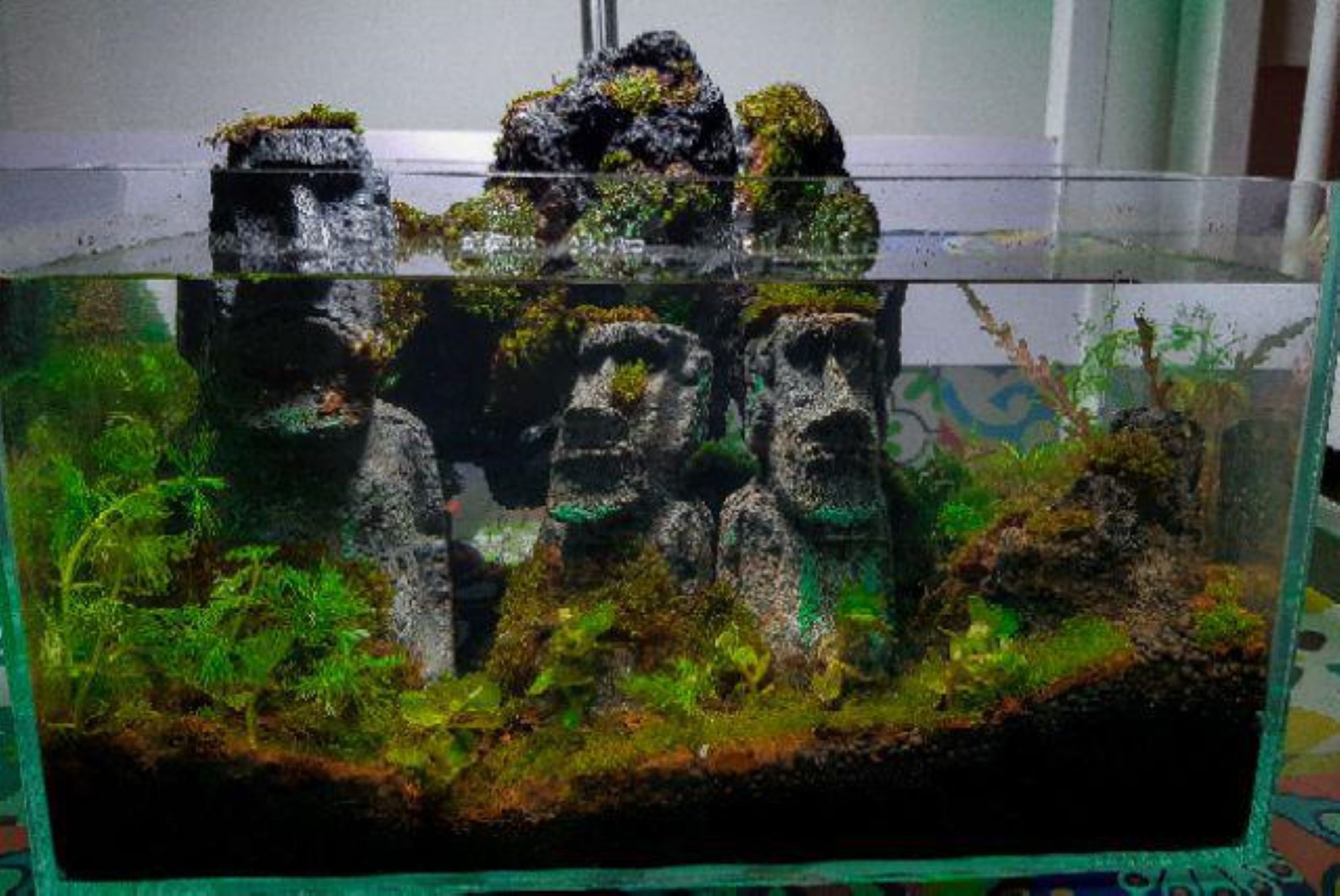 Roestig lijden Voorzichtigheid Large Aquarium Decor - Etsy