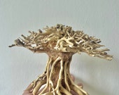 Bonsai Driftwood Aquarium Decorations
