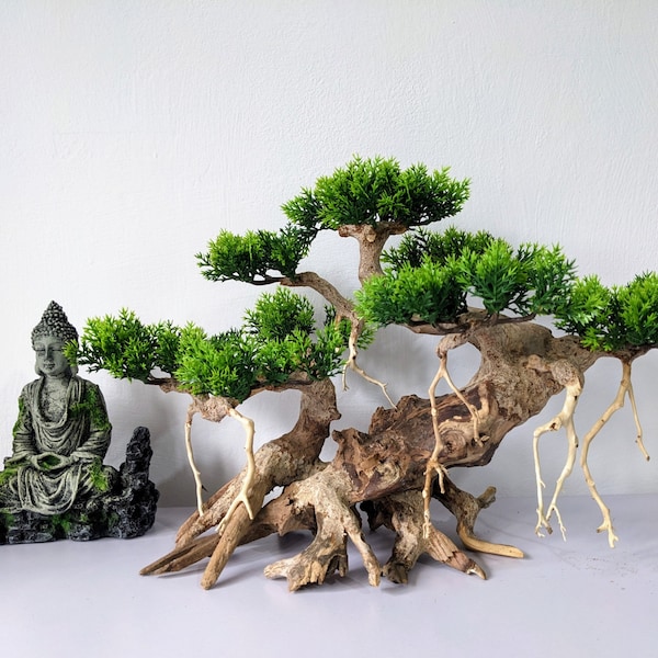 Aquarium Bonsai Tree Etsy