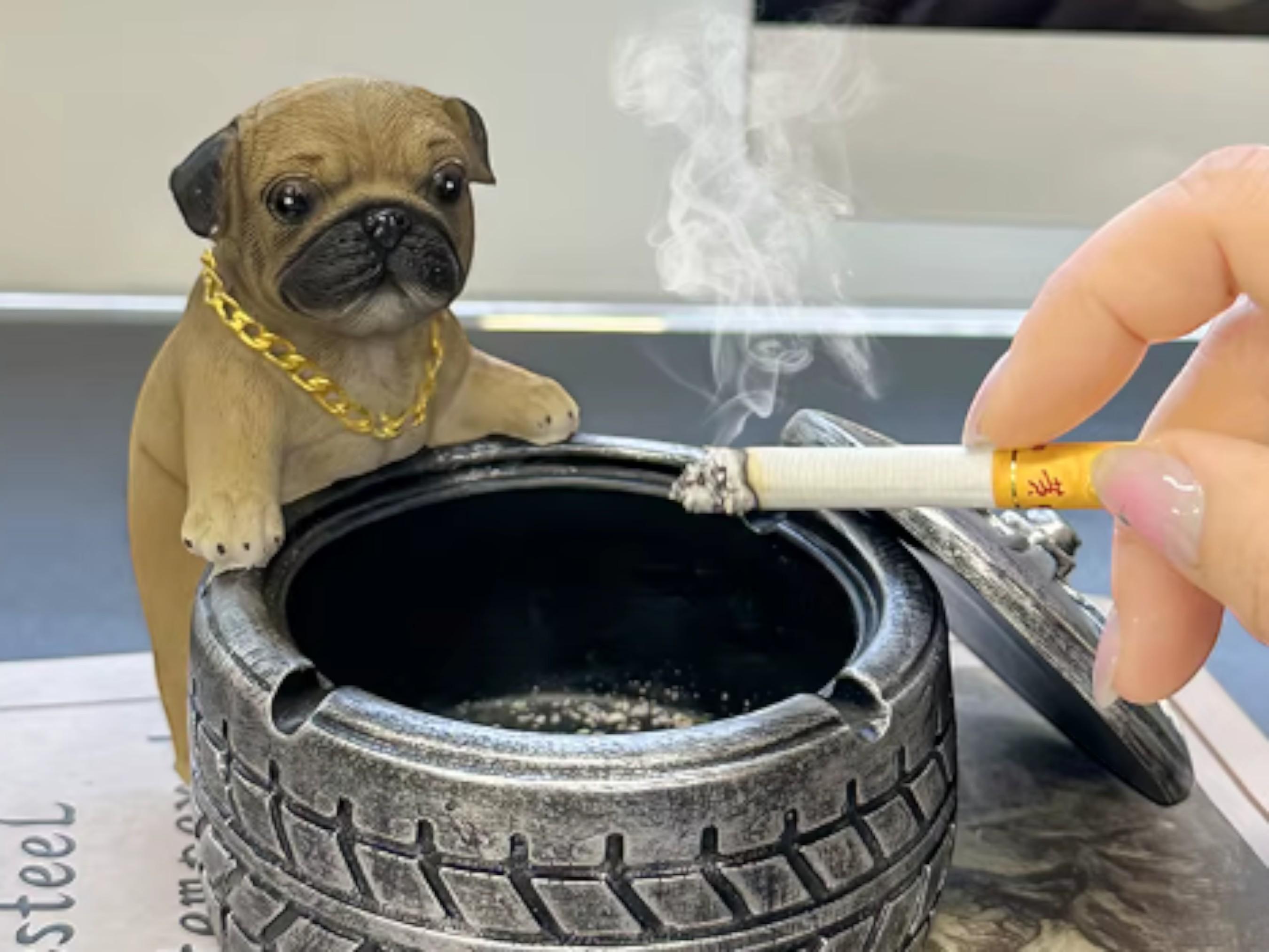 how hot is a cigarette ember Free Ember and smoke Image - Cigarette, Ember, Smoke how hot is a cigarette ember Free Ember and smoke Image - Cigarette, Ember, Smoke