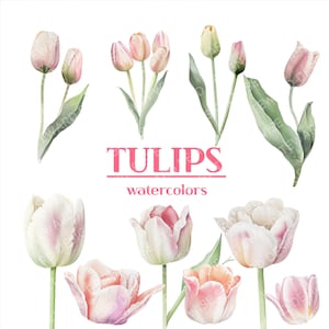Watercolor Tulips clipart - White pink tulip flowers and leaves, floral illustrations- Digital PNG clipart