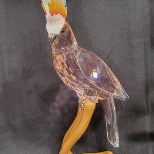 Swarovski Crystal Pink Cockatoo Figurine Crystal Paradise Bird