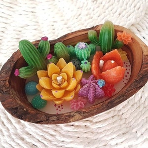 Succulent garden | Cacti | Cactus candle | Candle | Unique gifts | Cactus blossom | Cactus in wooden bowl | Succulents |