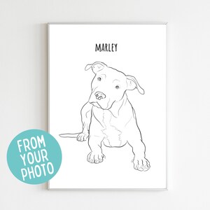 Custom Pet Line Drawing, Personalised Dog Line Drawing, Drawing from Photo, Minimalist Illustration, Digital Portrait, Cat Portrait