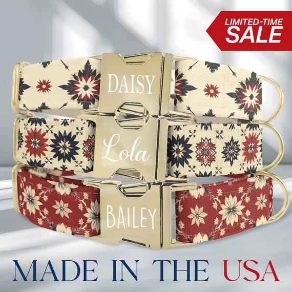 Aztec Dog Collar, Western Cowboy Dog Collar Personalized, Custom