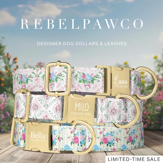 Vintage Floral Dog Collar, Cottagecore Dog Collar, Personalized Dog Collar, Pink Blue Floral, Grandmillennial Style, Leash Set, HC272