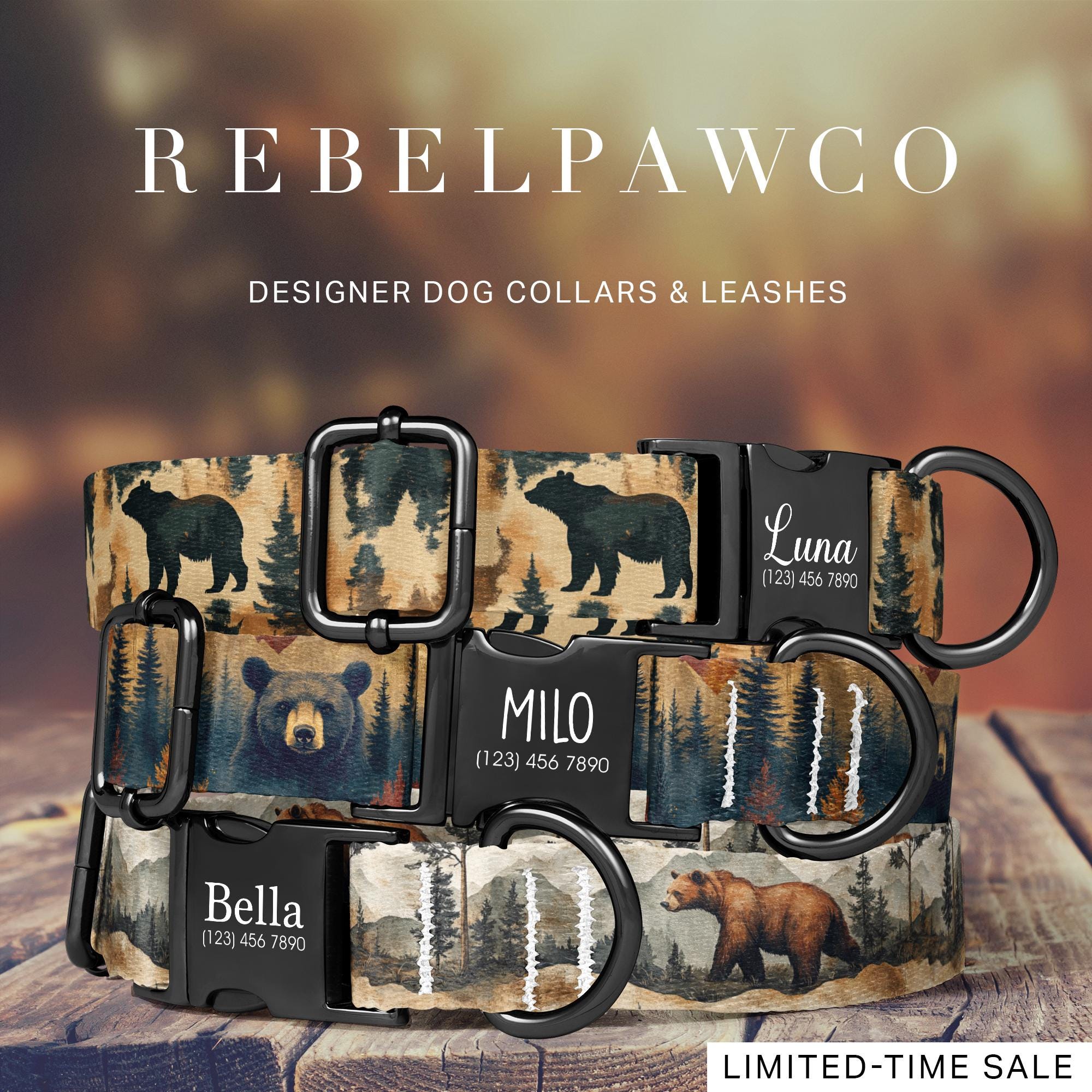 Large Designer Dog Collar