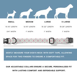 Dog collar size guide showing how to measure your dog’s neck for a secure and comfortable fit. The adjustable design allows flexibility for small and medium dogs while maintaining a structured and supportive feel.