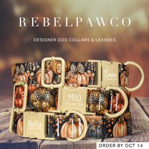 May include: Designer dog collars and leashes with a pumpkin and leopard print design. The collars have gold-colored hardware and personalized nameplates. The text "REBELPAWCO" and "DESIGNER DOG COLLARS & LEASHES" are visible.