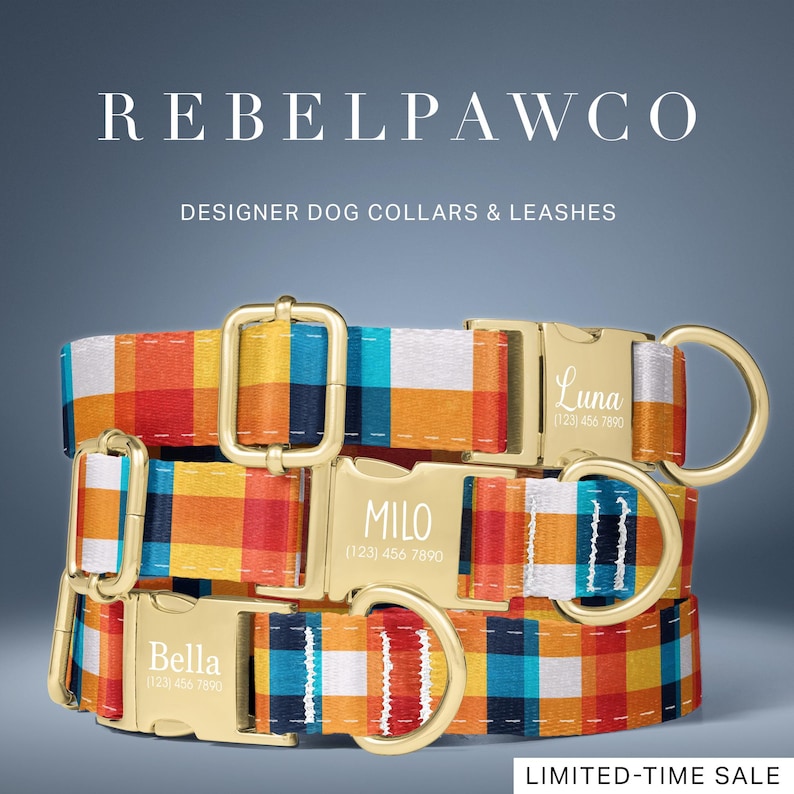 Colorful dog collar with bold plaid pattern in bright orange, teal, navy, and yellow tones. This plaid dog collar features a high contrast geometric design with a preppy, retro inspired look that stands out. Personalized dog collar with name engraving option and adjustable fit, designed for everyday wear and fun, eye catching pet accessories.