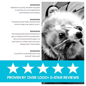 Colorful dog collar loved by customers for its bright plaid pattern and standout design. Reviews highlight the vibrant colors, comfortable fit, and how this bright dog collar gets attention during walks.