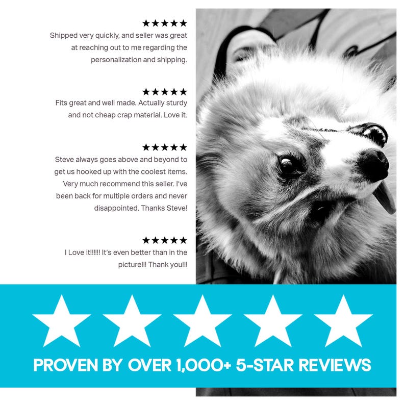 Colorful dog collar loved by customers for its bright plaid pattern and standout design. Reviews highlight the vibrant colors, comfortable fit, and how this bright dog collar gets attention during walks.