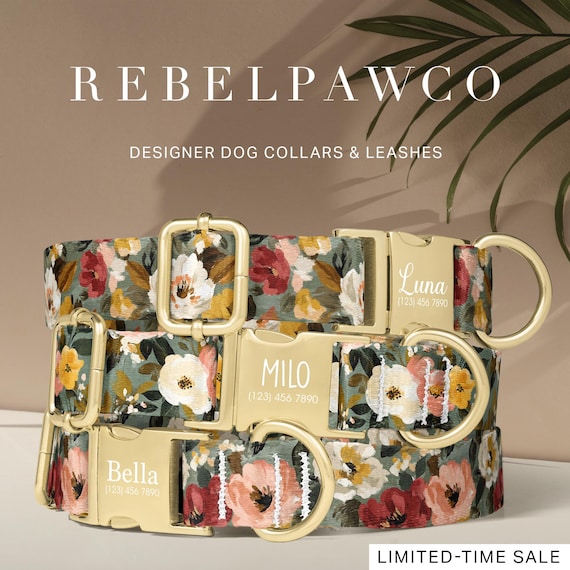 Abstract Floral Girl Dog Collar Personalized, Contemporary Flower Dog Collar with Name, Pet Collar w/ Name Engraving, Dog Leash Set, HC126