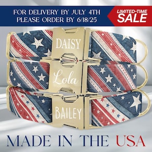 USA Dog Collar, 4th of July Dog Collar, Independence Day, American Dog Collar Personalized, Metal Buckle, Matching Collar and Leash, HC63