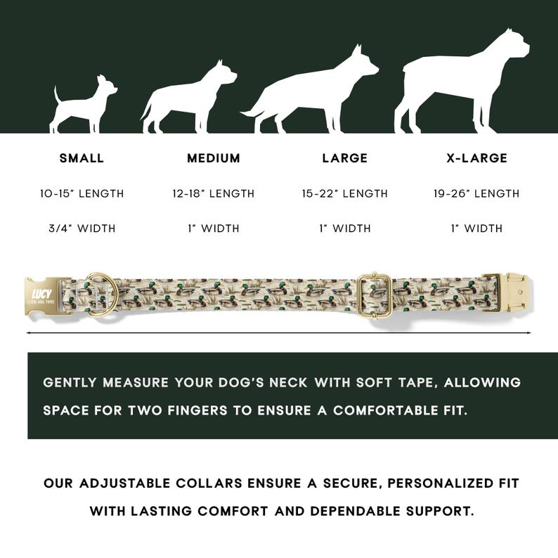 Puede incluir: Un collar para perros con estampado de patos, herrajes dorados y el nombre "LUCY" en la hebilla. La imagen muestra gu&iacute;as de tallas: peque&ntilde;o (25-38cm de largo, 1.9cm de ancho), mediano (30-46cm de largo, 2.5cm de ancho), grande (38-56cm de largo, 2.5cm de ancho) y X-grande (48-66cm de largo, 2.5cm de ancho).