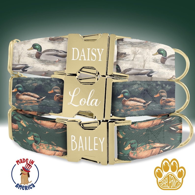 May include: Three dog collars with a duck print design. The collars are stacked on top of each other. The top collar is white with a brown duck print. The middle collar is green with a brown duck print. The bottom collar is green with a brown duck print. The collars have gold buckles with the names "Daisy", "Lola", and "Bailey" engraved on them.