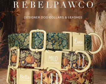 Fall Leaves Dog Collar Personalized, Pumpkin Dog Collar, Acorn Dog Collar, Woodland Dog Collar, Autumn Print, Thanksgiving, Leash Set, HC401