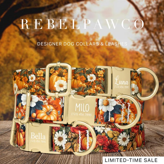 Pumpkin Florals Dog Collar Personalized for Halloween and