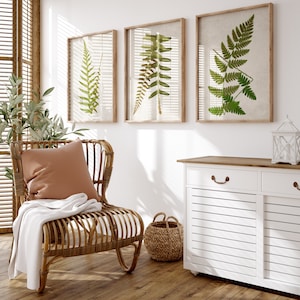 Fern Illustration Print, Vintage botanical Art Prints, 1800s Antique Posters, Vintage Drawings set Of 3 Wall Paintings, Cottage Home Decor