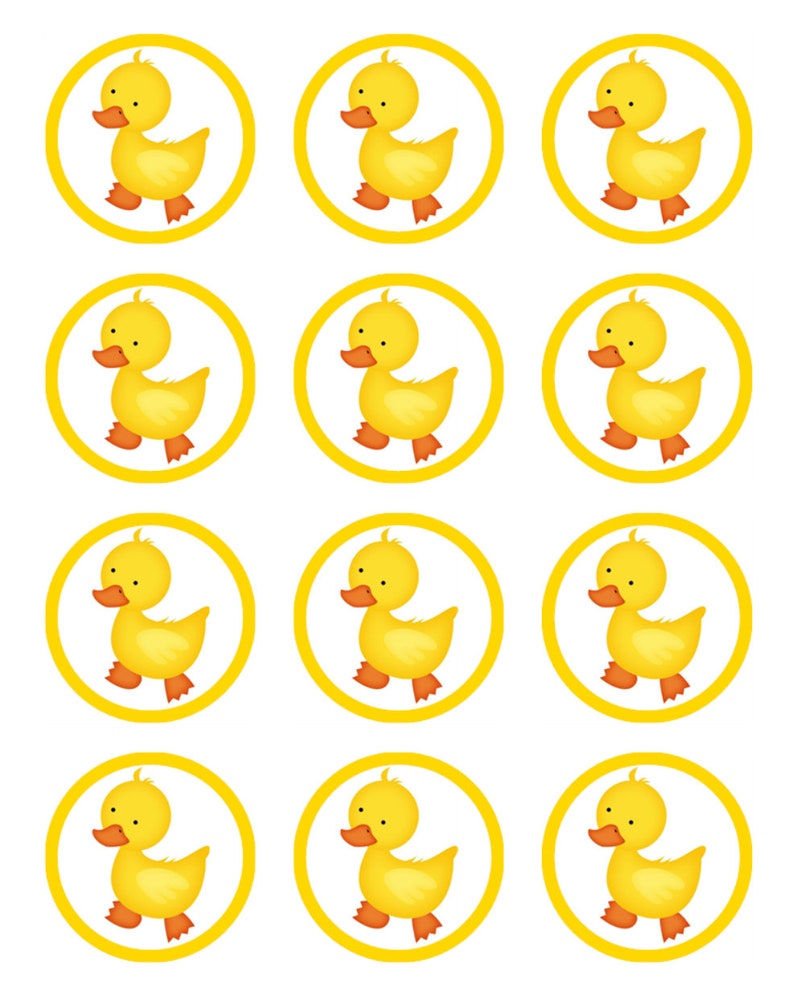 Duck Cupcake Toppers Edible Icing Farm Animal Birthday Cake Decorations ...
