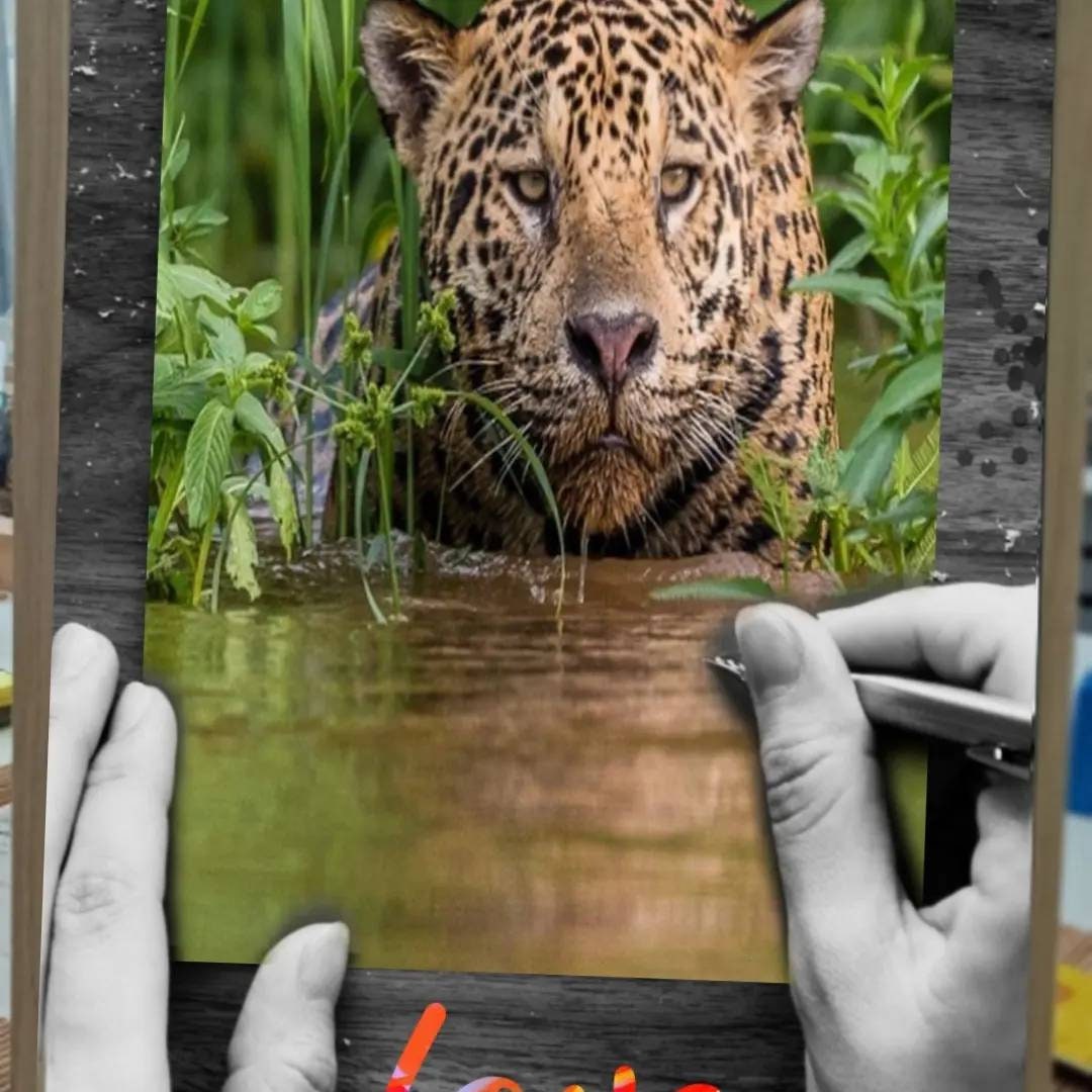 Cadre Déco Personnalisée