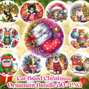 50 races de chats de décoration de Noël PNG, sublimation dessins, Noël PNG Bundle, décoration de Noël PNG dessins et modèles, téléchargement numérique