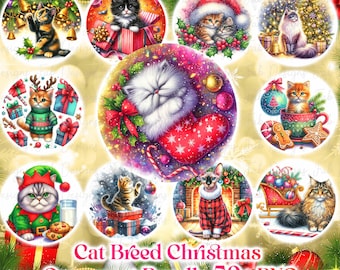 Christmas Ornaments