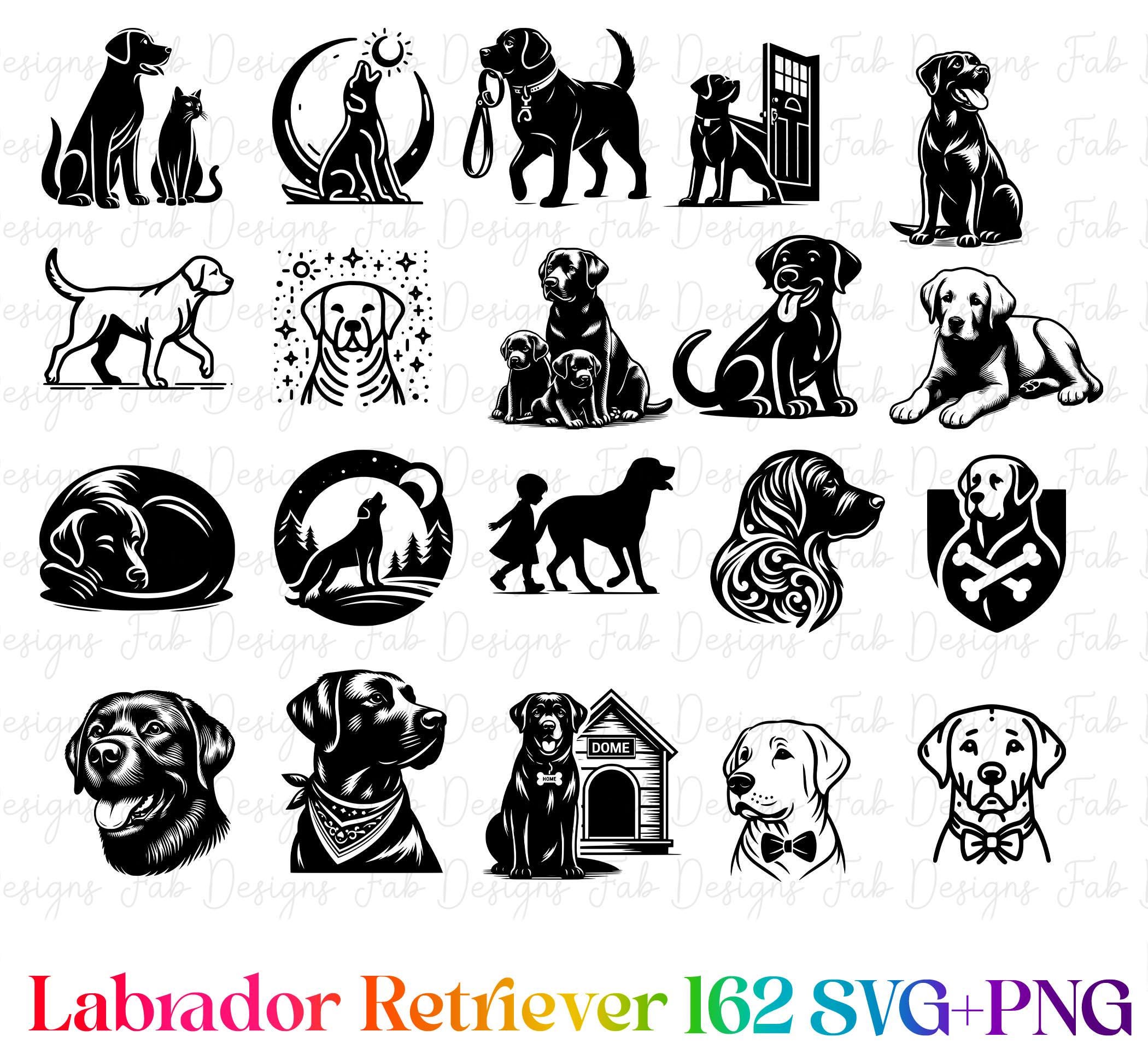 Labrador Retriever Clipart Bundle: Hand-drawn Dog SVG PNG (162 Designs ...