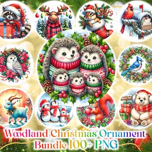 100+ Christmas Woodland animals and birds Ornament Bundle PNG, Sublimation Designs, Christmas PNG Bundle, 3D Christmas Ornament PNG Designs