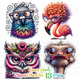 13 imágenes prediseñadas de pájaros divertidos, ilustraciones de pájaros extravagantes, pájaros caprichosos, imágenes prediseñadas de pájaros locos, lindos pájaros PNG, caras de pájaros de dibujos animados, pájaro divertido