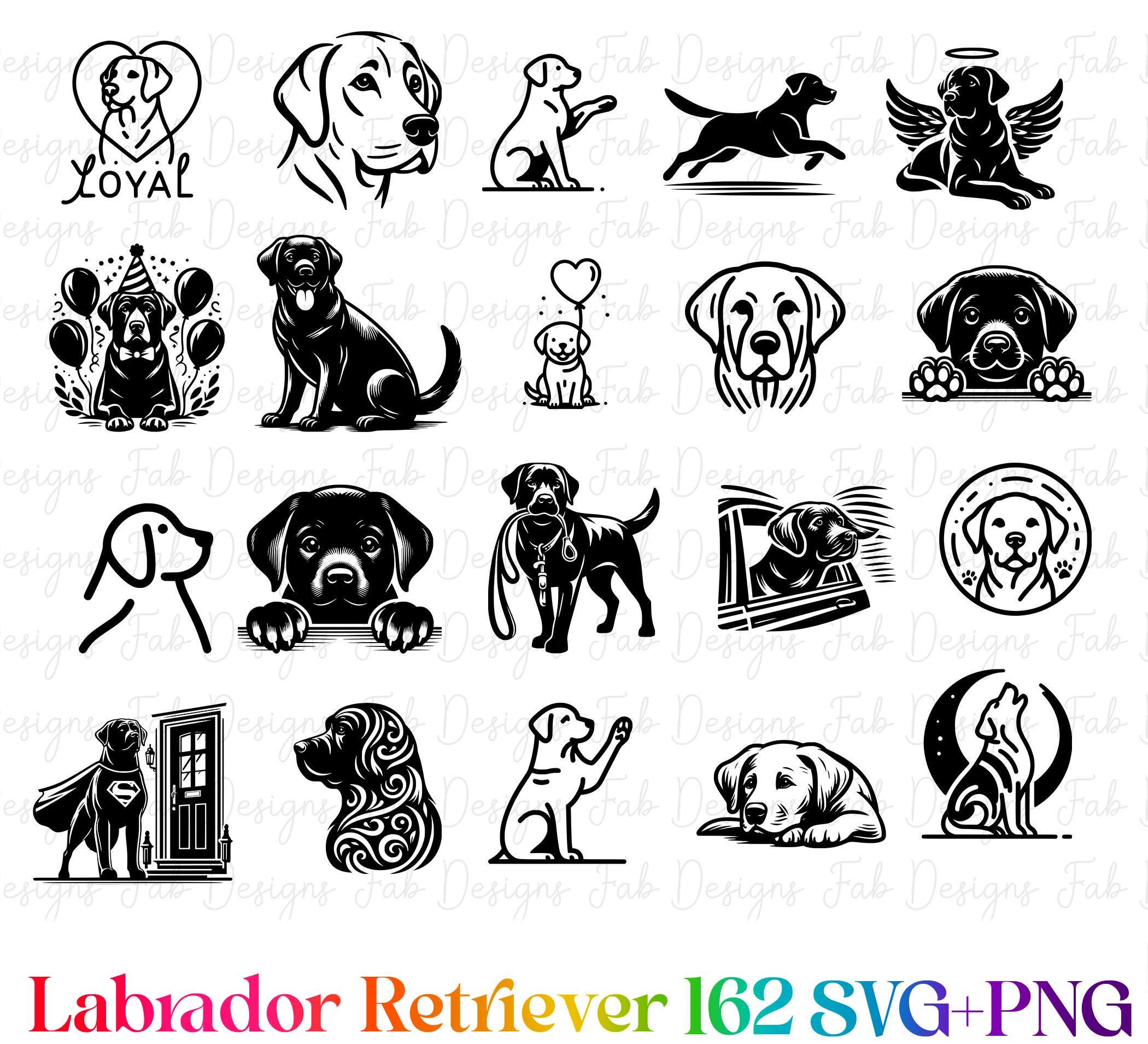 Labrador Retriever Clipart Bundle: Hand-drawn Dog SVG PNG (162 Designs ...