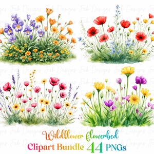 44 Campo de flores silvestres Clipart de borda Png, Borda de flores silvestres em aquarela pastel, Natureza floral de verão, Clipart de aquarela, Clipart floral boho