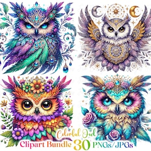 Lot de 30 cliparts hibou, clipart sublimation hibou mousseux, hiboux colorés, oeuvre d'art de hibou, hibou à imprimer, téléchargement numérique, fabrication de cartes