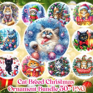 50 races de chats de décoration de Noël PNG, sublimation dessins, Noël PNG Bundle, décoration de Noël PNG dessins et modèles, téléchargement numérique