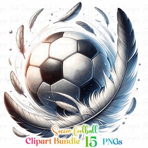 May include: A black and white soccer ball with white feathers swirling around it. The image is a digital illustration.