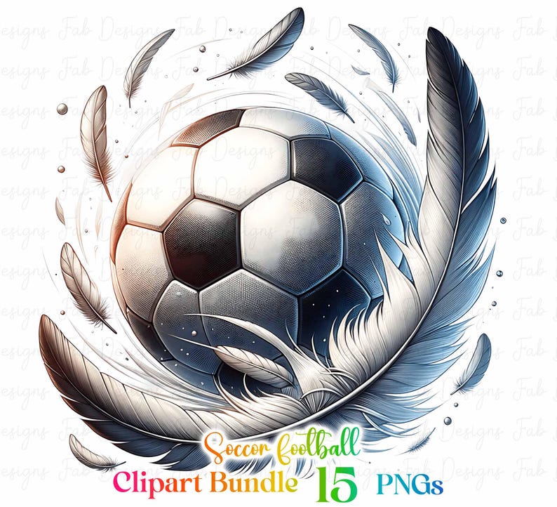 May include: A black and white soccer ball with white feathers swirling around it. The image is a digital illustration.