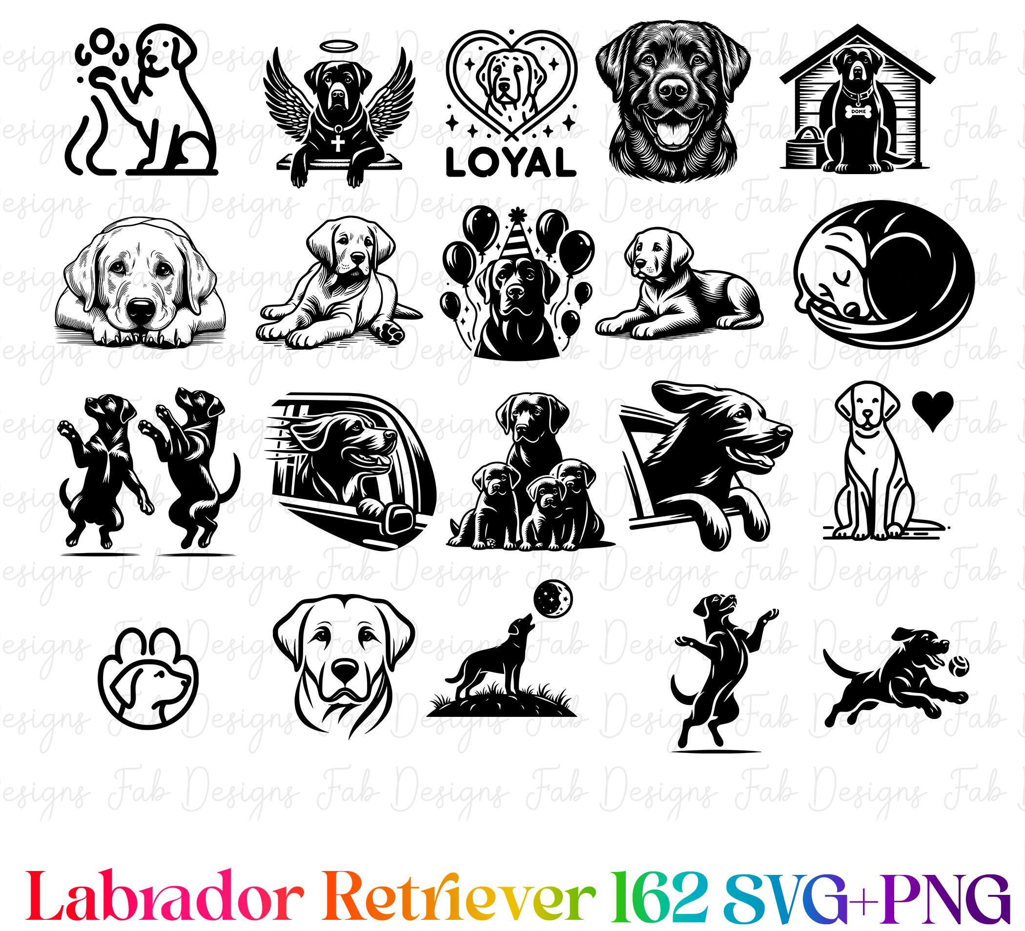 Labrador Retriever Clipart Bundle: Hand-drawn Dog SVG PNG (162 Designs ...