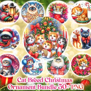50 races de chats de décoration de Noël PNG, sublimation dessins, Noël PNG Bundle, décoration de Noël PNG dessins et modèles, téléchargement numérique