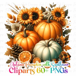 May include: A digital illustration featuring pumpkins, sunflowers, and fall foliage. The image includes orange pumpkins, a white pumpkin, sunflowers, pinecones, and orange slices. Text at the bottom reads "Autumn Pumpkin with Sunflower Cliparts 60+ PNGs."