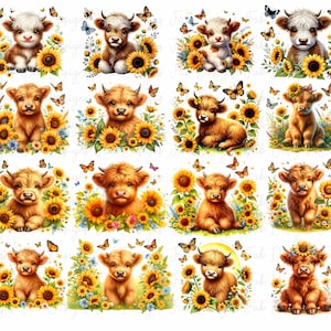 May include: Twelve digital illustrations of Highland cattle calves in a field of sunflowers. Each calf is depicted with a different expression and pose, surrounded by yellow sunflowers and butterflies.