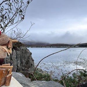 A perfect gift for birdwatchers. Bring a touch of woodland magic to your space!