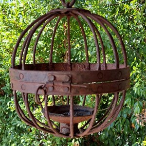 May include: A rustic, spherical metal hanging planter with a cage-like design. The brown, weathered iron planter features a circular band and a small dish at the bottom, suspended from a chain. The background is filled with green foliage.