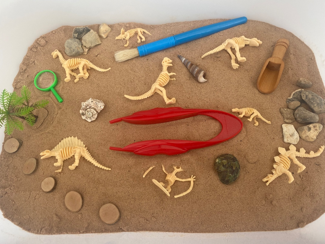 Large Excavation Dinosaur Sensory Kit Tuff Tray Play Sensory Bin Loose ...