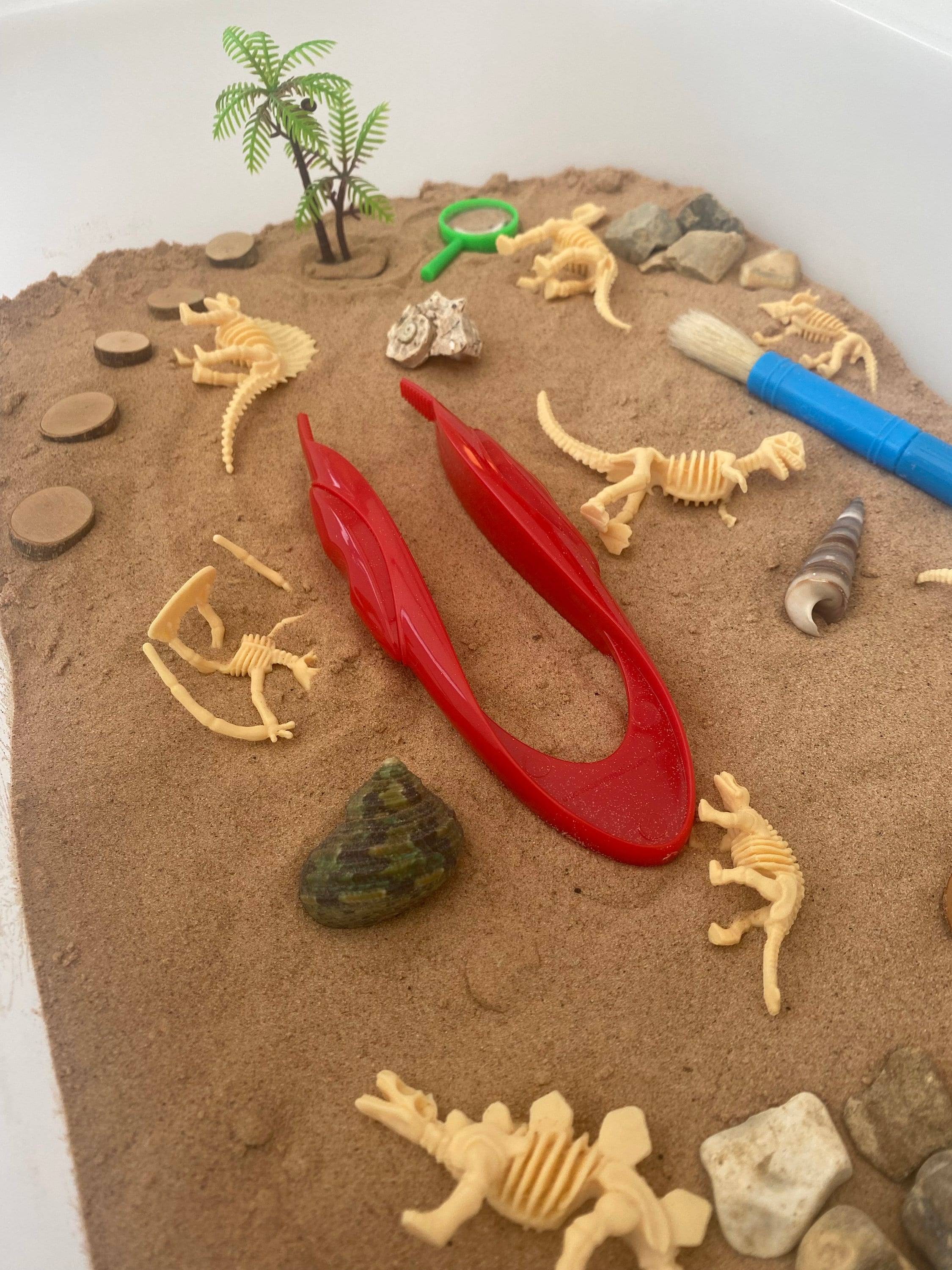 Large Excavation Dinosaur Sensory Kit Tuff Tray Play Sensory Bin Loose ...